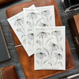 Coneflowers Sticker Sheet | Sketch Collection