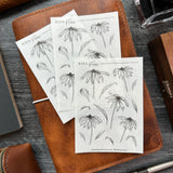 Coneflowers Sticker Sheet | Sketch Collection