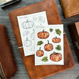 Pumpkins in Color Sticker Sheet | Sketch Collection