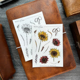 Sunflowers in Color Sticker Sheet | Sketch Collection