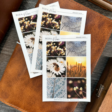 Autumn Sticker Sheet | Mood Boards Collection