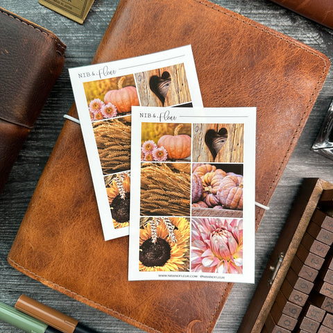 Pumpkins & Dahlias Sticker Sheet | Mood Boards Collection