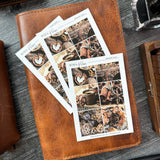 Cinnamon Sticker Sheet | Mood Boards Collection