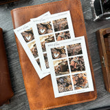 Cinnamon Sticker Sheet | Mood Boards Collection
