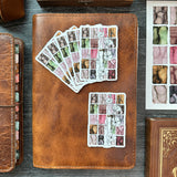 Candlelit Swatches Sticker