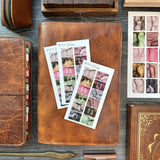 Month Tabs (Candlelit) Sticker Sheet