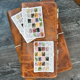 Iris Swatches Sticker