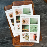 Green Home Sticker Sheet | Mood Boards Collection