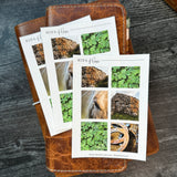 Clover Sticker Sheet | Mood Boards Collection