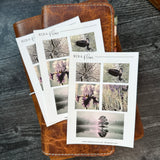 At the Lake Sticker Sheet | Mood Boards Collection