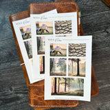 Iris Sticker Sheet | Mood Boards Collection