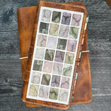 Full Page Sticker Sheet- Butterfly | Watercolor & Ink Collection