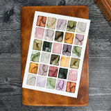 Flower Field Art Print