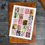 2026 Swatches Art Print