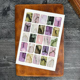 Butterfly Swatches Art Print