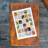 Flower Field Art Print