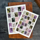 Butterfly Swatches Art Print