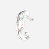 Seahorse Vinyl Sticker