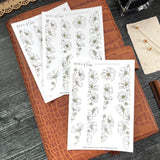 Cosmos Borders Sticker Sheet | Cosmos Blooms Collection