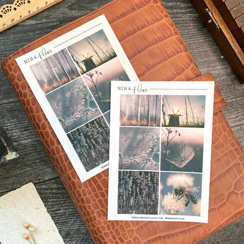 Moody Field Sticker Sheet | Mood Boards Collection