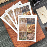 Neutral Autumn Sticker Sheet | Mood Boards Collection