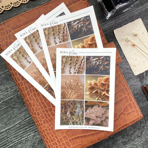 Neutral Autumn Sticker Sheet | Mood Boards Collection