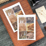 Neutral Autumn Sticker Sheet | Mood Boards Collection