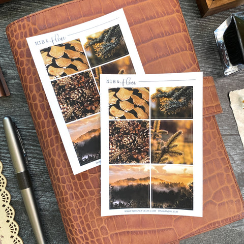 Pine Sticker Sheet | Mood Boards Collection